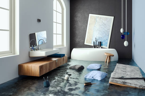 Best Carpet water damage restoration  in Pomona Park, FL